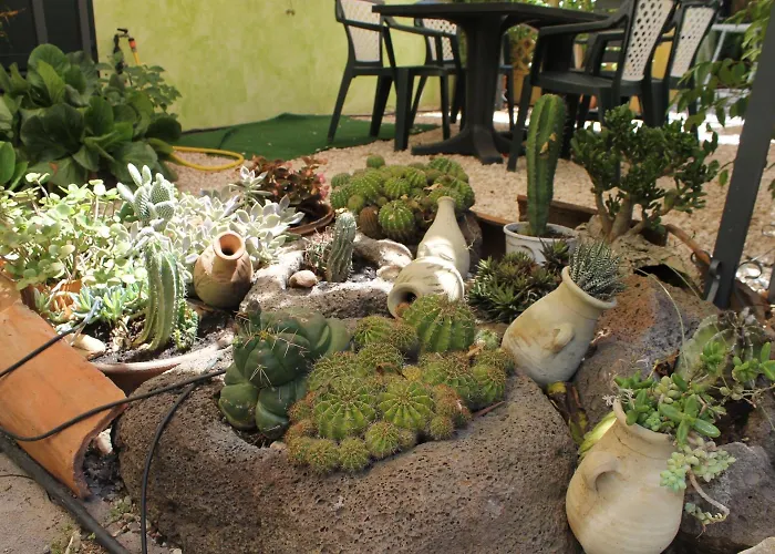 Rita E Renzo Riola Sardo