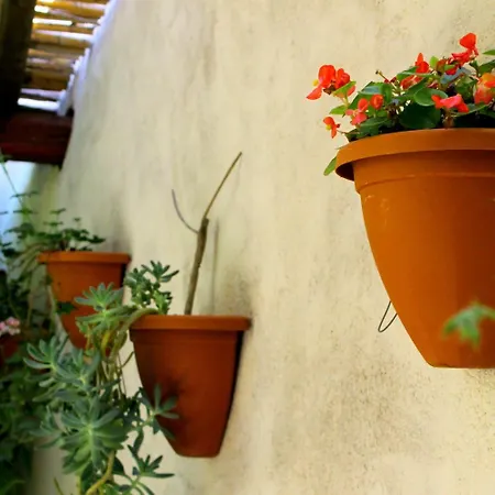 Rita E Renzo 3* Riola Sardo