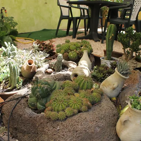 Rita E Renzo Riola Sardo